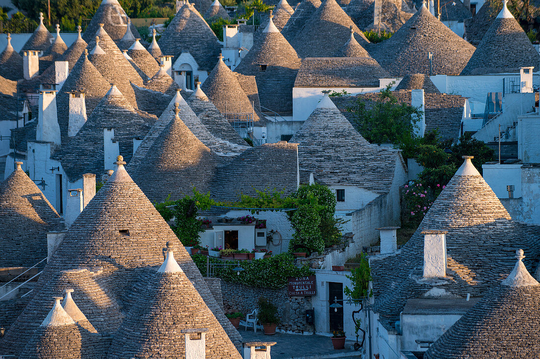 Distinctive conical rooftops of Trulli houses in the town of Alberobello, UNESCO World Heritage Site, Puglia, Italy, Europe