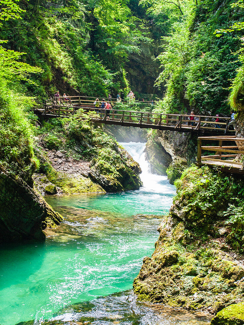 Der Fluss Radovna fließt durch die Vintgar-Schlucht bei Bled, Slowenien, Europa
