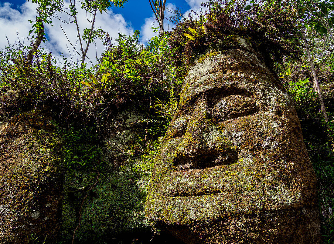 Face sculpture in Tuff rock, Asilo de la Paz, Highlands of Floreana (Charles) Island, Galapagos, UNESCO World Heritage Site, Ecuador, South America