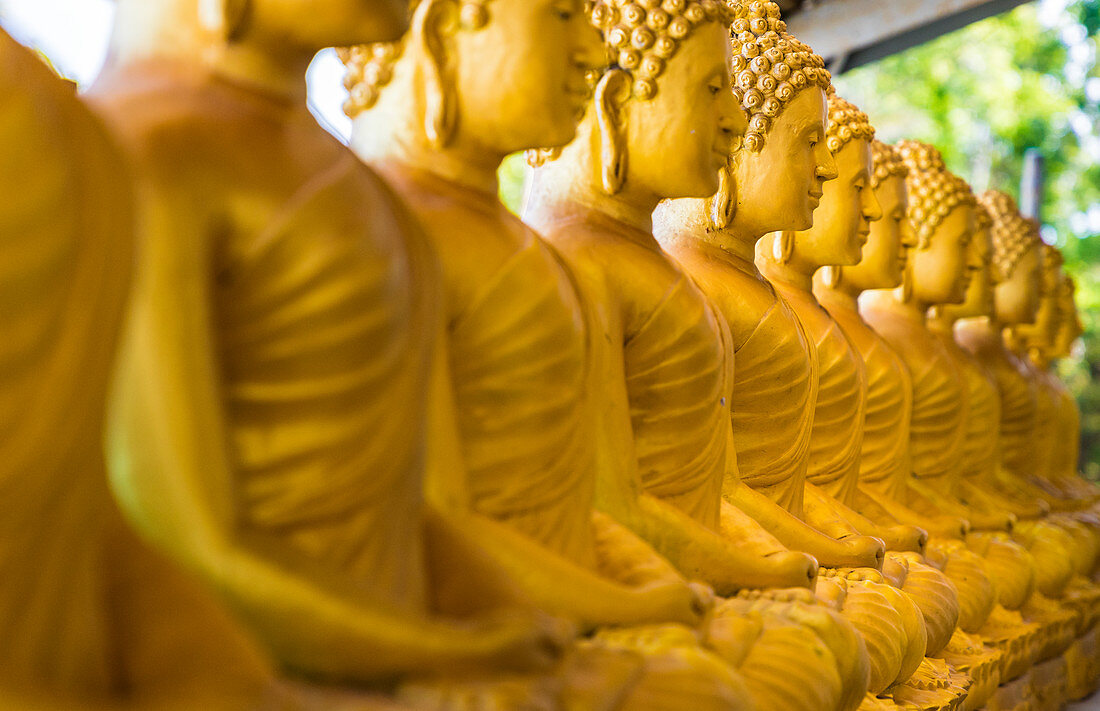 A row of seated Buddhas at the Big Buddha complex (The Great Buddha) in Phuket, Thailand, Southeast Asia, Asia