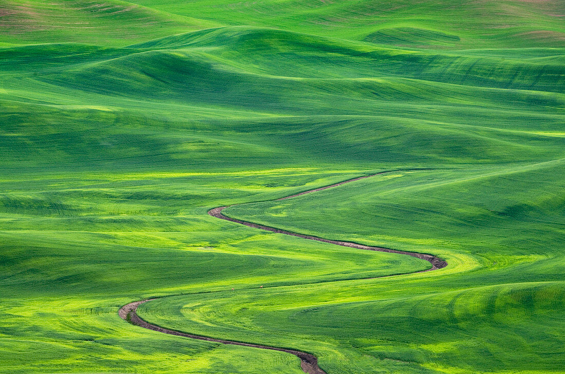 Bewässerungsgräben durch sanfte Hügel in ländlicher Landschaft, Palouse, Washington, USA