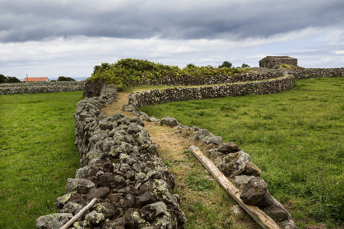 Elevated walkway between rural fields, Azores Islands, Flores, Portugal