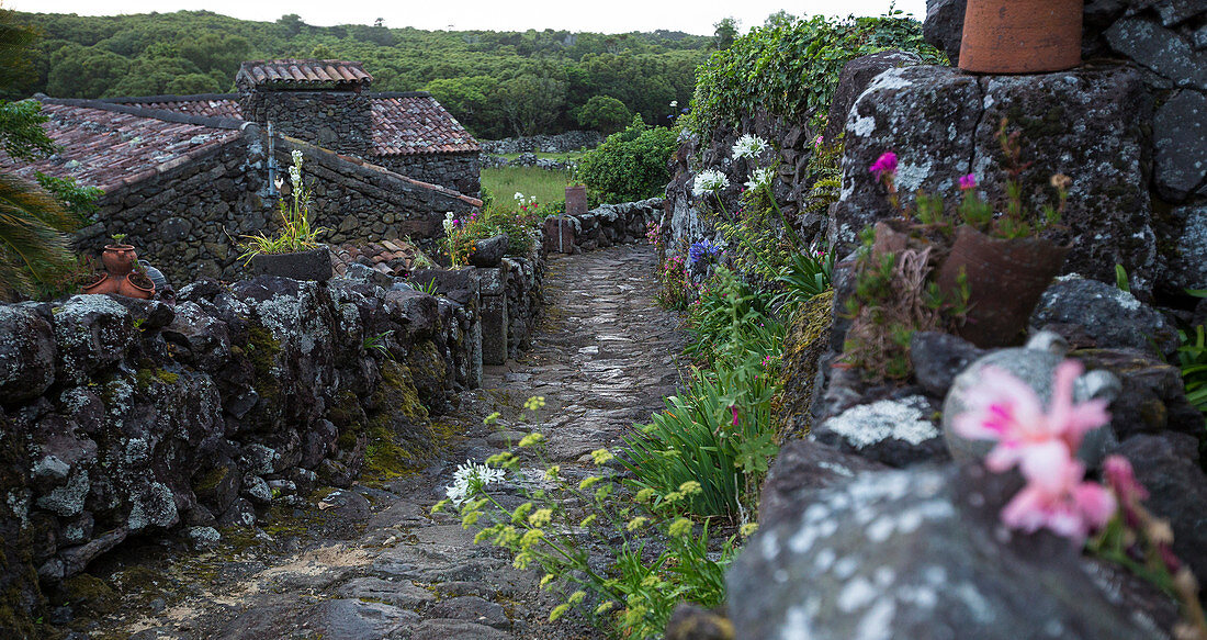 Cobblestone walkway in rural village, Cuada Village, Flores, Portugal