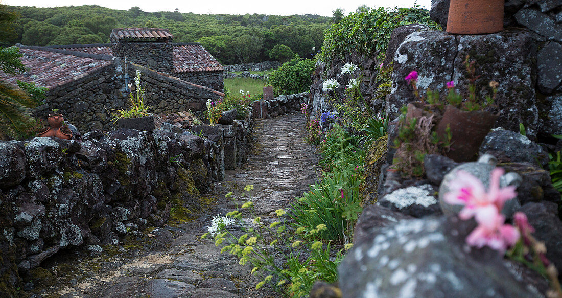 Kopfsteinpflasterweg im ländlichen Dorf, Cuada Village, Flores, Portugal