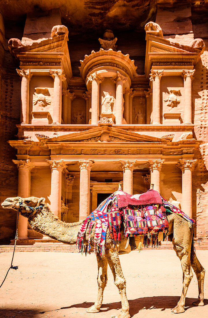 Camel wearing harness by ancient building, Petra, Jordan