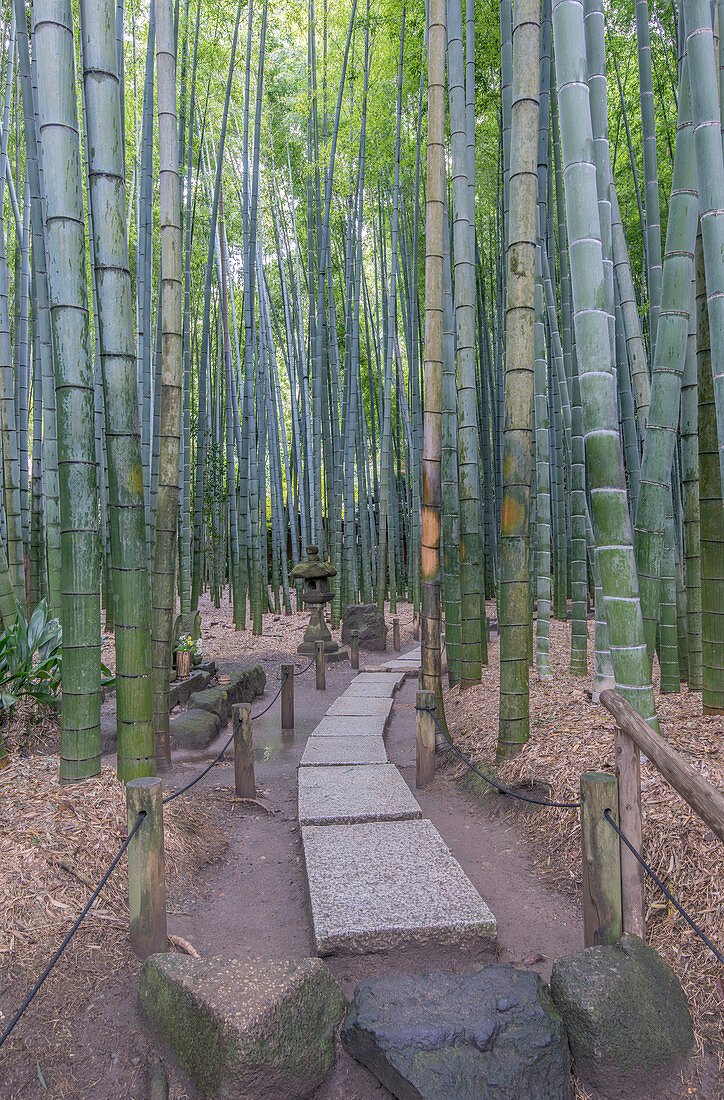 Stone sculptures in bamboo forest, Japan