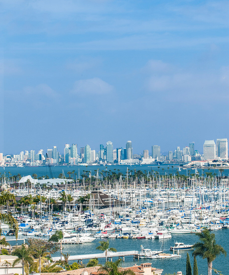 City skyline overlooking harbor, San Diego, California, United States