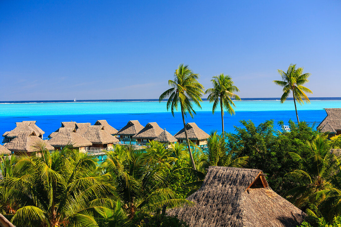 Palm trees overlooking tropical resort, Bora Bora, French Polynesia