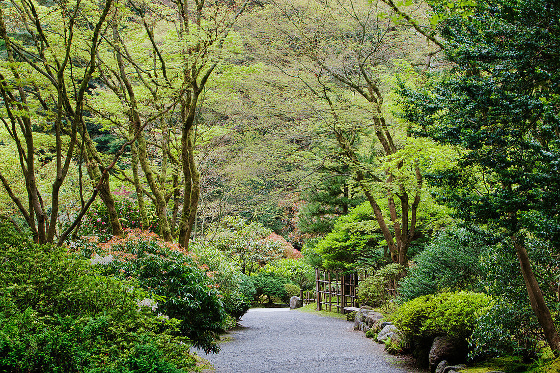 Kiesweg im Japanischen Garten, Portland, Oregon, Vereinigte Staaten von Amerika