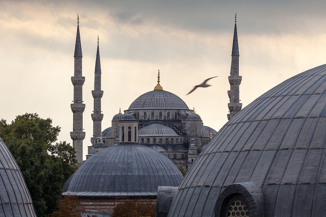 Kuppeln und Türme der Blauen Moschee, Istanbul, Türkei