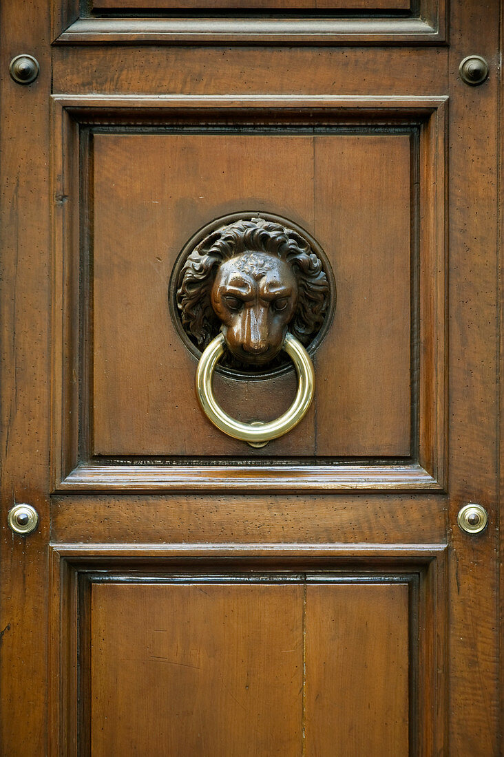 Ornate Door Knocker, Florence, Tuscany, Italy