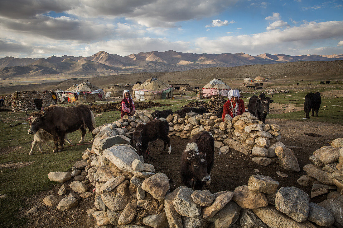 Viehherden der Kirgisen im Pamir, Afghanistan, Asien