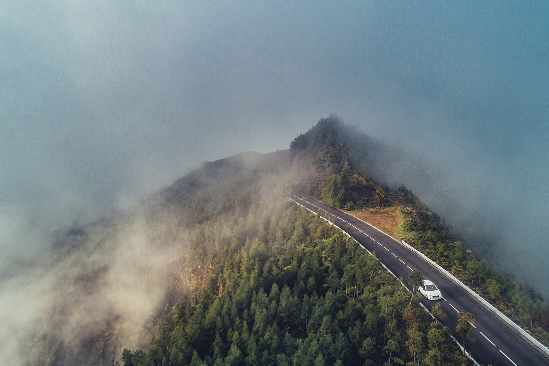 Road in the fog in the Azores, Sao Miguel, Azores, Atlantic Ocean, Portugal, Europe