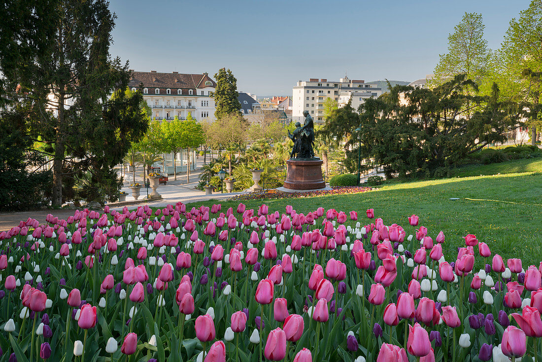 Tulpen im Kurpark, Baden bei Wien, Niederösterreich, Österreich