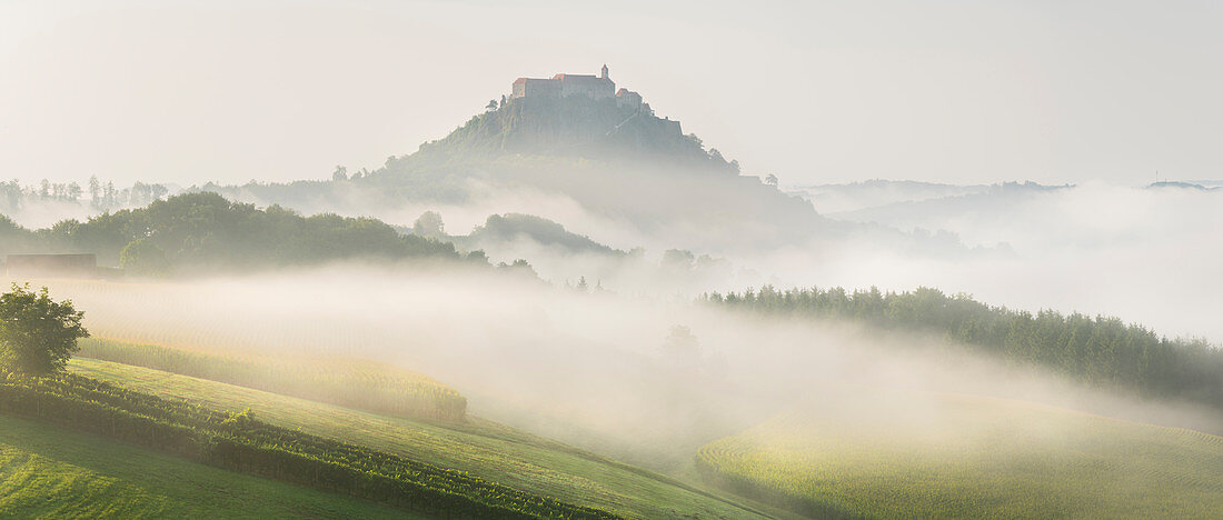 Morning fog, Riegersburg, Styria, Austria