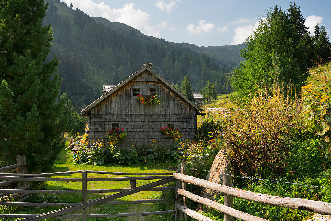 Prodingeralm, Riedingtal, Radstädter Tauern, Land Salzburg, Österreich