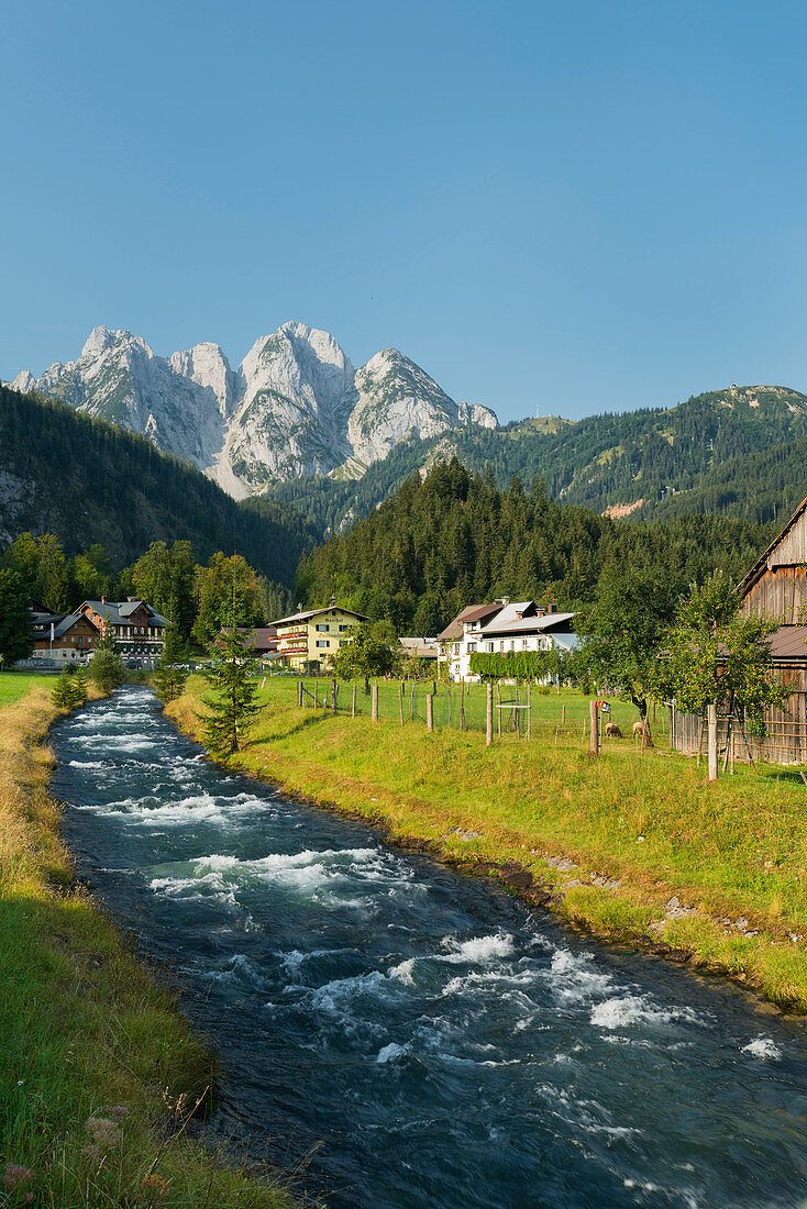 Gosaubach, Gosaukamm, Oberösterreich, Österreich