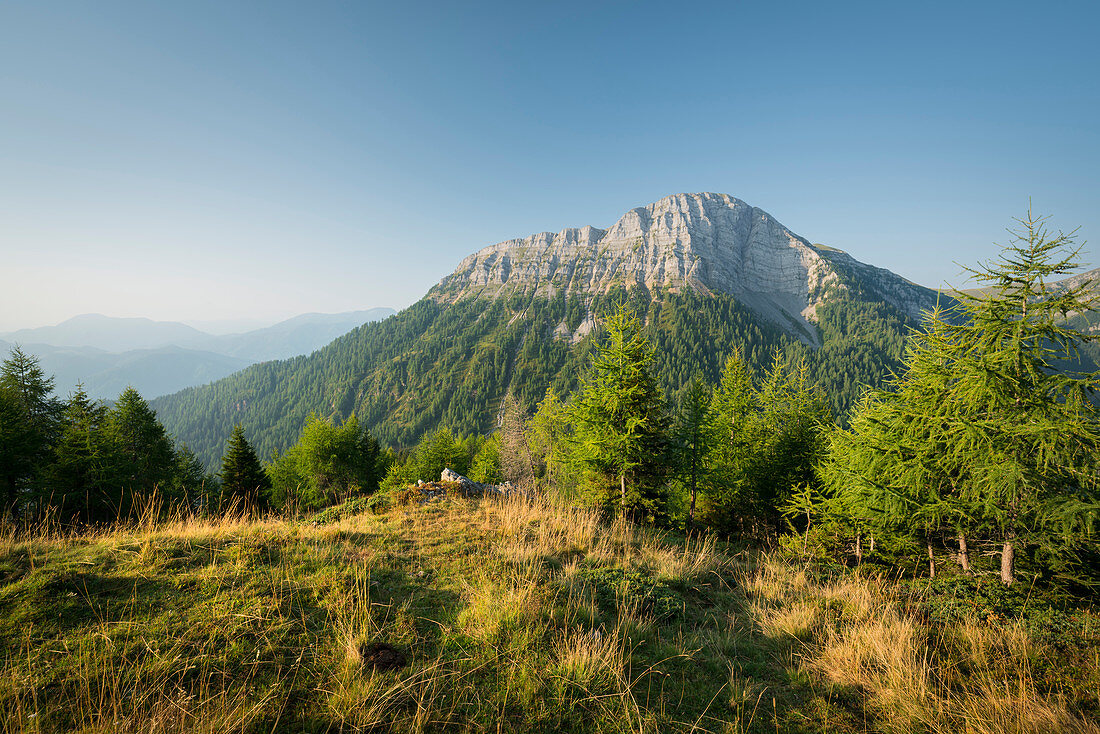 Mountain staff from the Kapelleralm, Goldeck, Carinthia, Austria