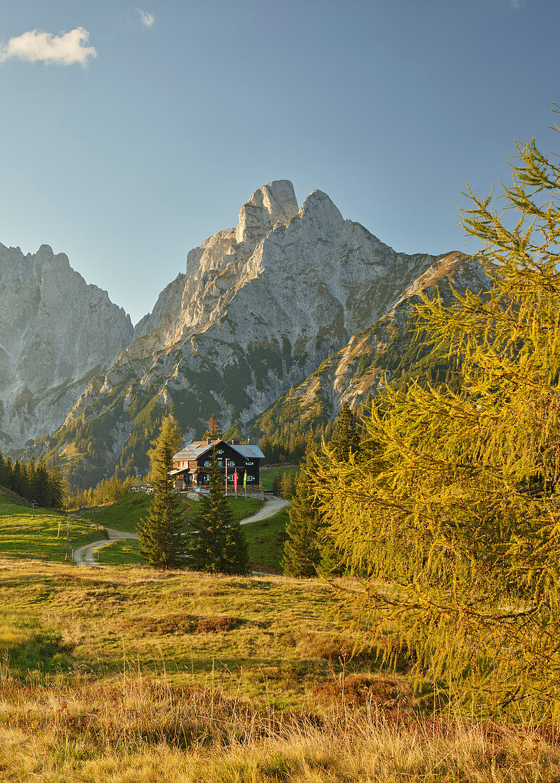 Treffneralm, Mödlinger Hütte, Kalbling, Sparafeld, Reichenstein, Ennstal Alps, Styria, Austria