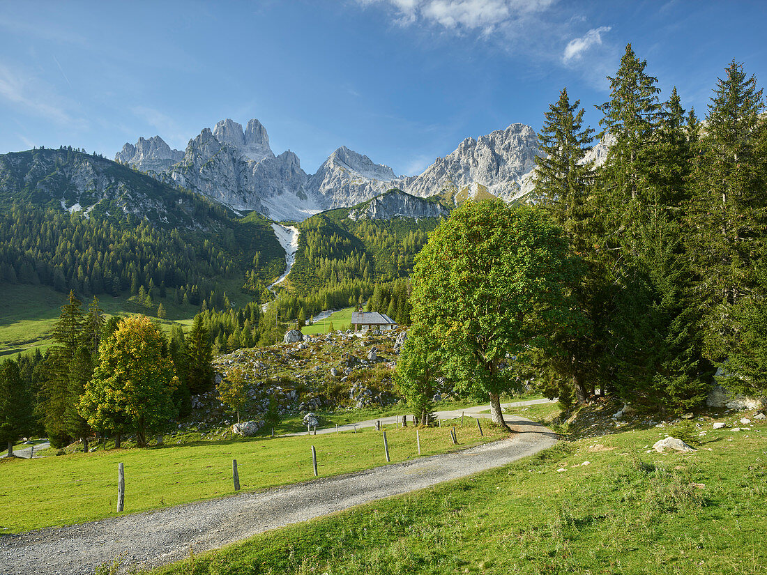 Bischofsmütze, Hofalm, Salzburg, Austria