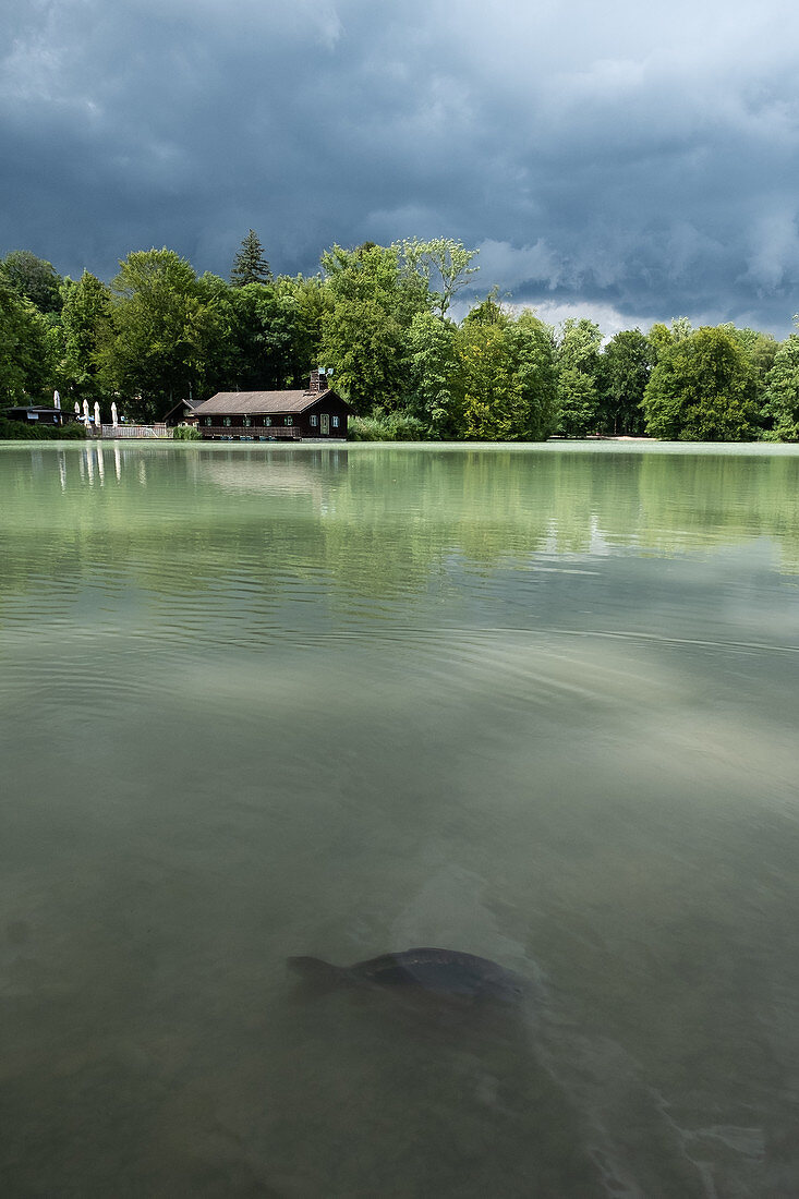 Blick auf das Seehaus am Hinterbrühler See mit Karpfen im Vordergrund, München, Bayern, Deutschland