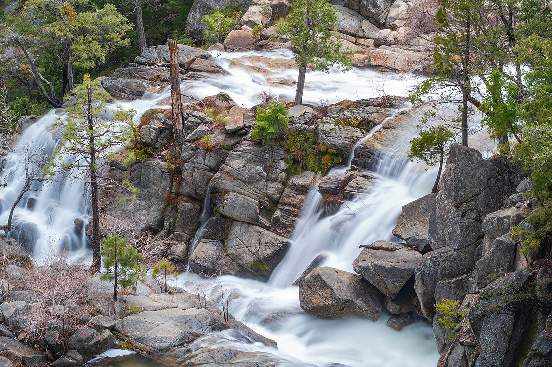 Quellabfluss, Cascade Creek, Yosemite Nationalpark, Kalifornien