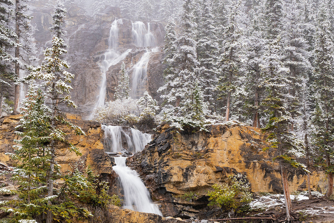 Wasserfall nach Herbstschneefällen, Tangle Creek Falls, Jasper Nationalpark, Alberta, Canada