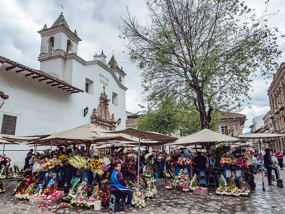 Der tägliche Blumenmarkt in Cuencas Plazoleta del Carmen, Cuenca, Ecuador, Südamerika