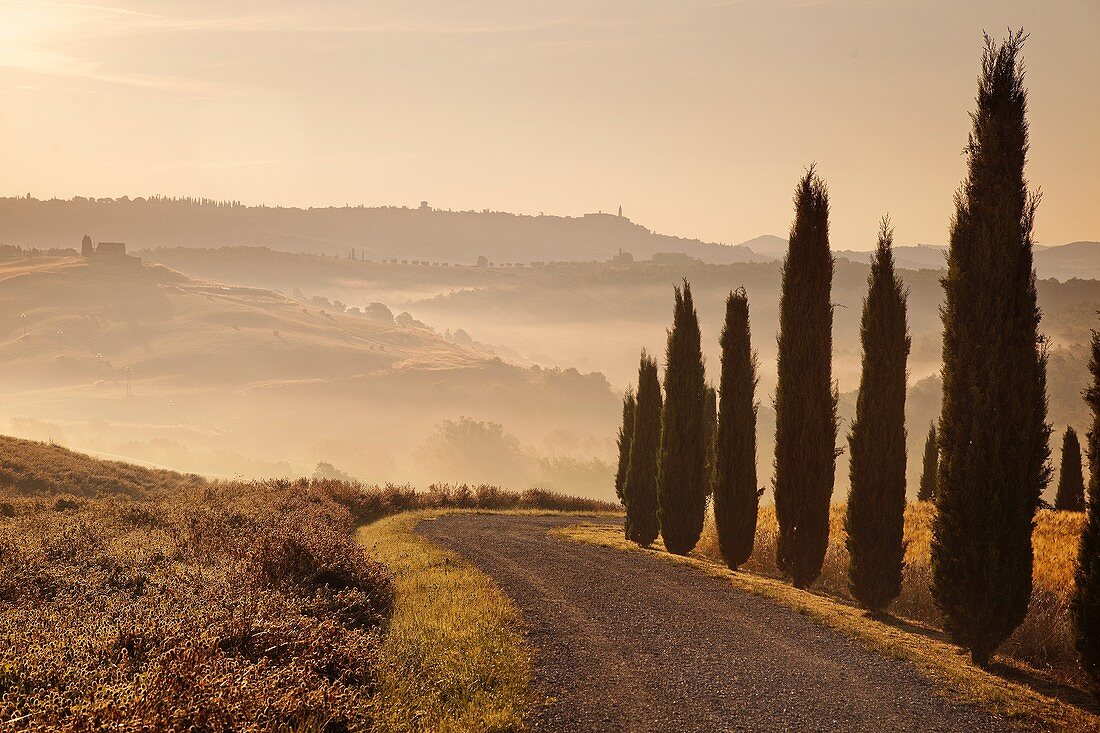 Umgebung, Pienza, Toskana, Italien, Europa