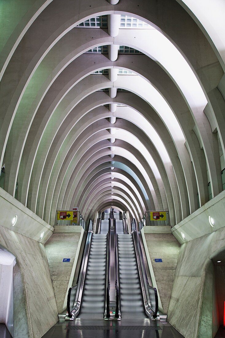 Liege-Guillemins railway station, architect Santiago Calatrava, Liege, Belgium, Europe