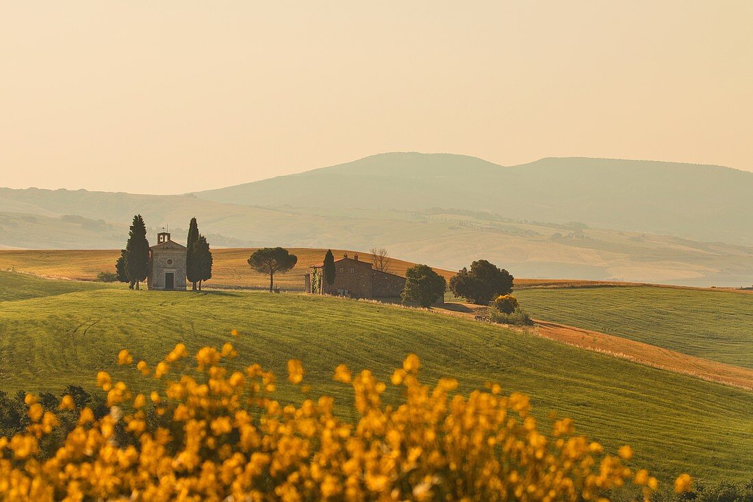 Vitaleta Church, San Quirico d'Orcia, Val d'Orcia, UNESCO World Heritage Site, Tuscany, Italy, Europe