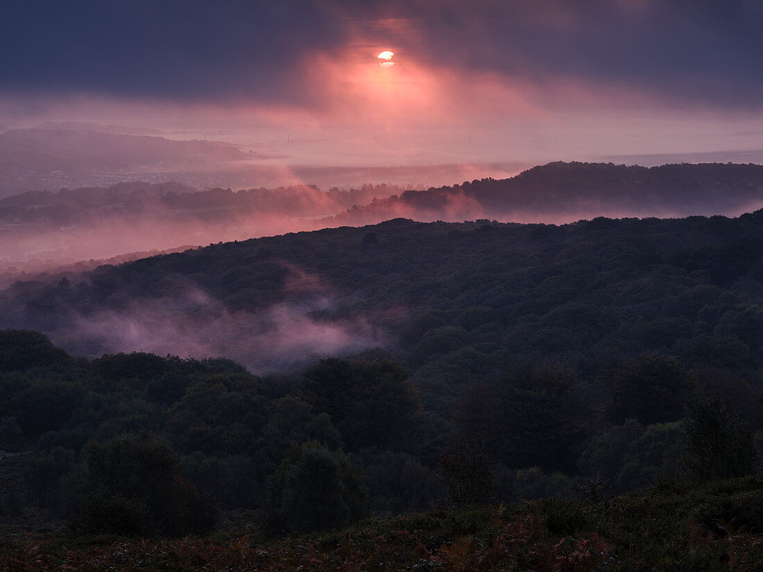 Die Sonne durchbricht die Wolke und fügt dem Nebel über Yarner Wood, Dartmoor Nationalpark, Bovey Tracey, Devon, England, Vereinigtes Königreich, Europa einen rosafarbenen Farbton hinzu