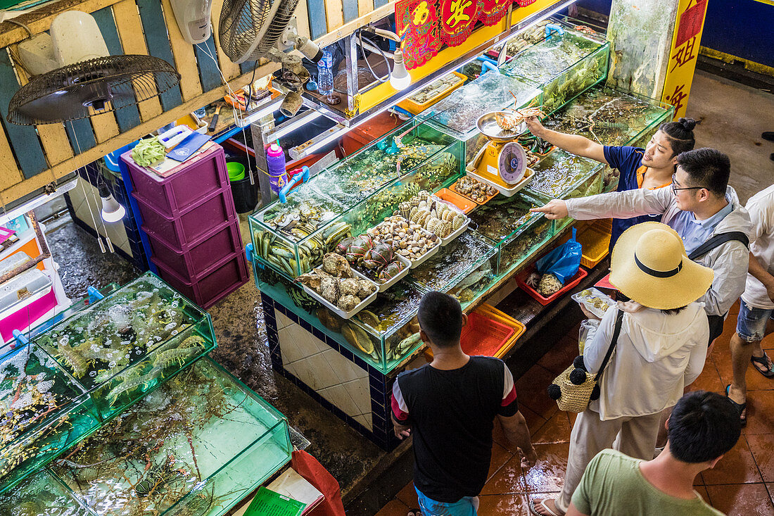 An aerial view of a live fish stall at the indoor Banzaan food market in Patong, Phuket, Thailand, Southeast Asia, Asia