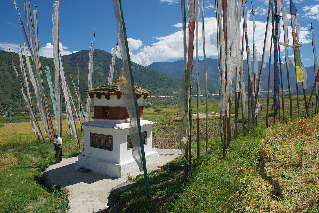 Tschörten between prayer flags and rice terraces at Chimi Lhakhang between Thimpu and Punaka, Bhutan, Himalayas, Asia