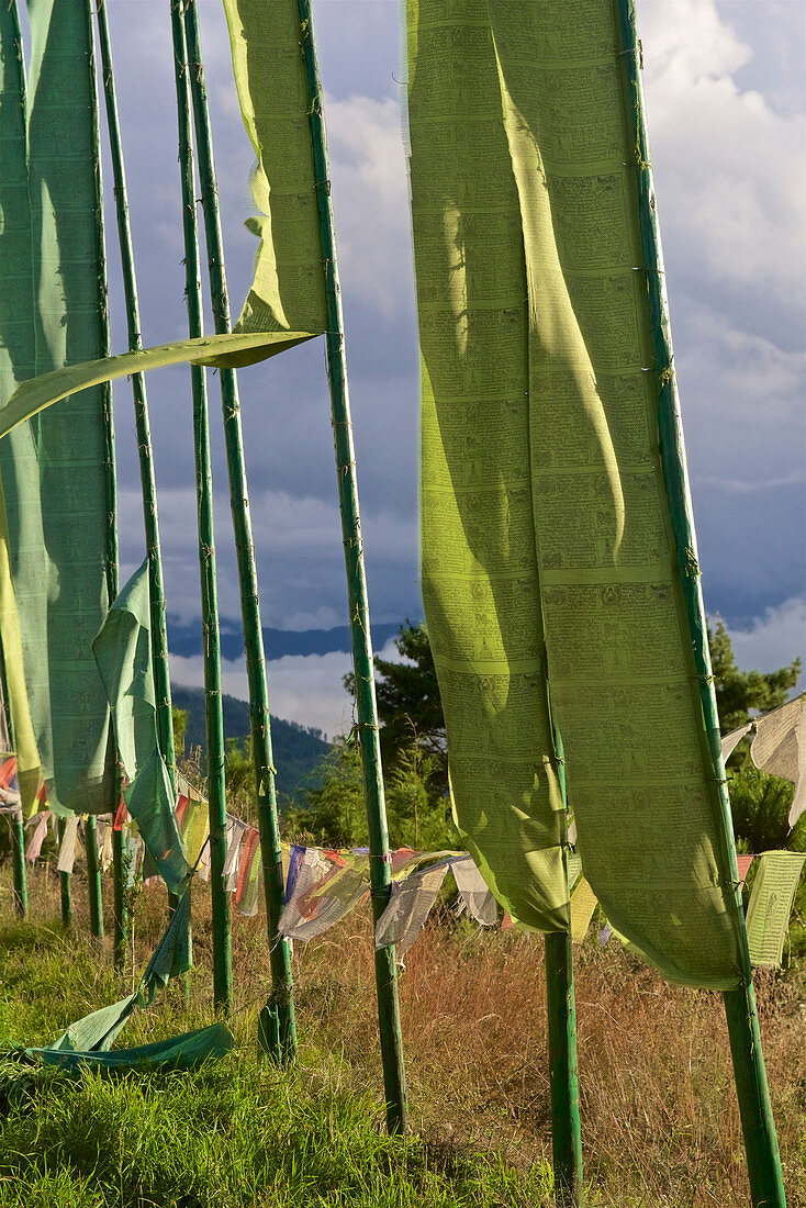Prayer flags in front of the Pema Choling Nunnery, Tang Valley, Bumthang, Bhutan, Himalayas, Asia