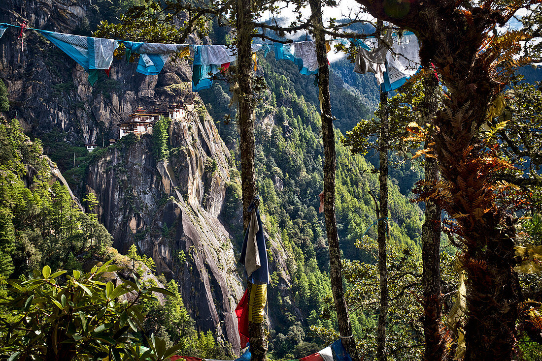 Blick zum Kloster Taktsang oder Tigernest mit Bäumen und Gebetsfahne, Bhutan, Himalaya, Asien