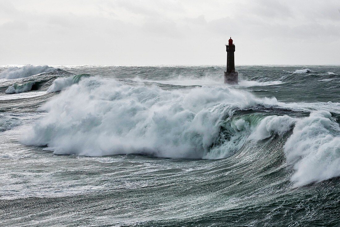France, Finistere, Iroise Sea, Parc Naturel Regional d'Armorique (Armorica Regional Natural Park), France, Finistere, Iroise Sea, Parc Naturel Regional d'Armorique (Armorica Regional Natural Park), ile d'Ouessant, Jument lighthouse during storm Ruth, February 8th 2014 (aerial view)