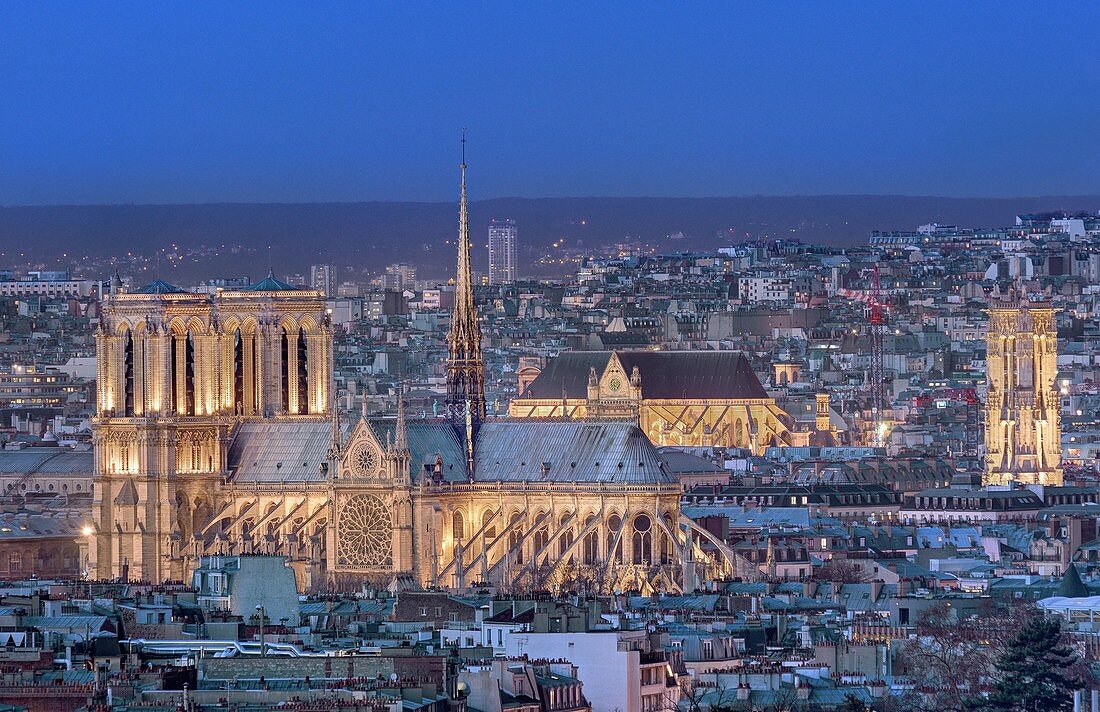Kathedrale Notre Dame, Turm Saint Jacques und Kirche Saint Eustache im Hintergrund, UNESCO Weltkulturerbe, Paris, Frankreich
