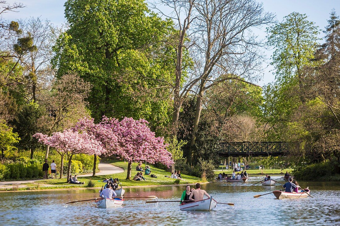 France, Paris, Le Bois de Vincennes, Daumesnil lake, at spring