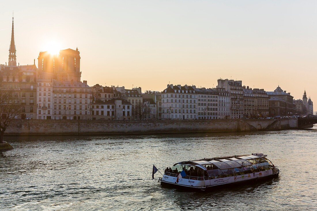 Die Insel Cité und die Kathedrale Notre Dame de Paris, UNESCO Weltkulturerbe, Paris, Frankreich