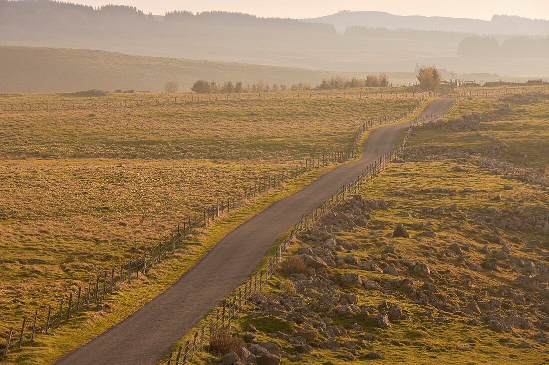 France, Lozere, Aubrac road near Nasbinals