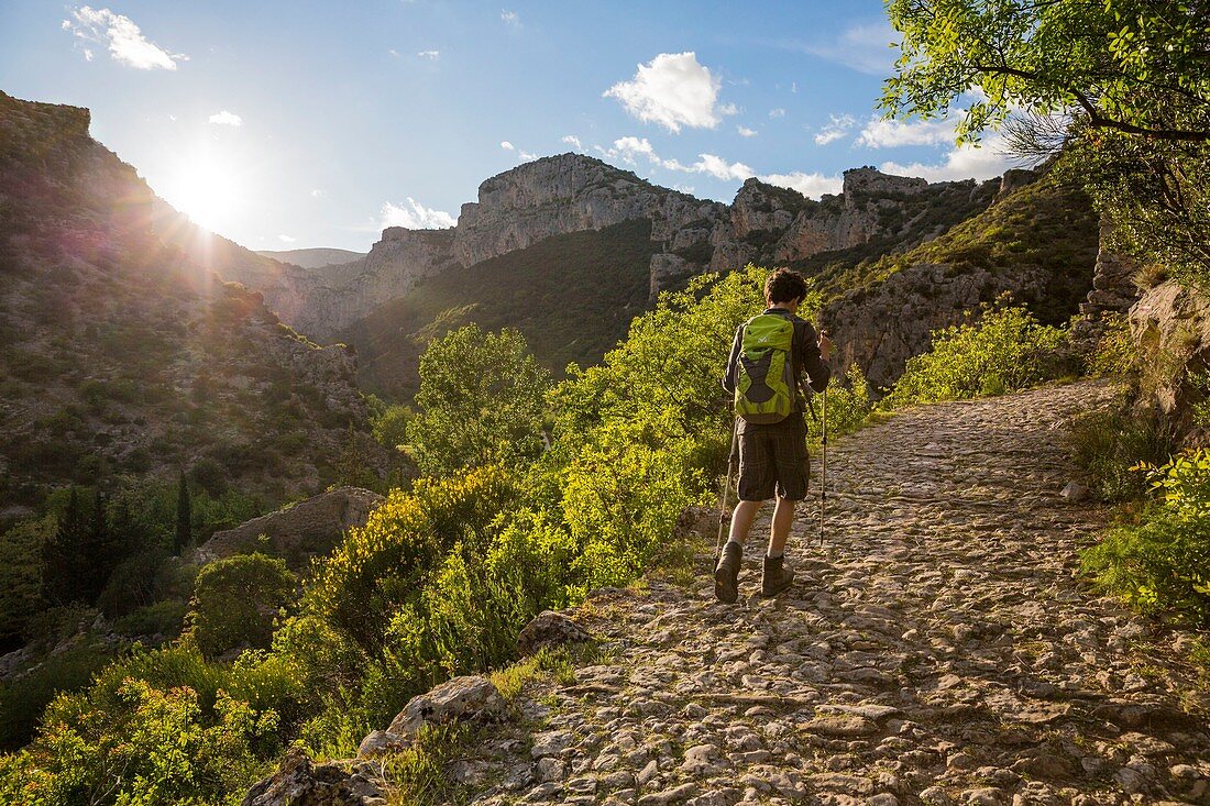 France, Herault, Saint Guilhem Le Desert, walker on the Via Tolosana on the Route of Compostela with a view of Max Negre's cliffs and the Cirque de l'Infernet