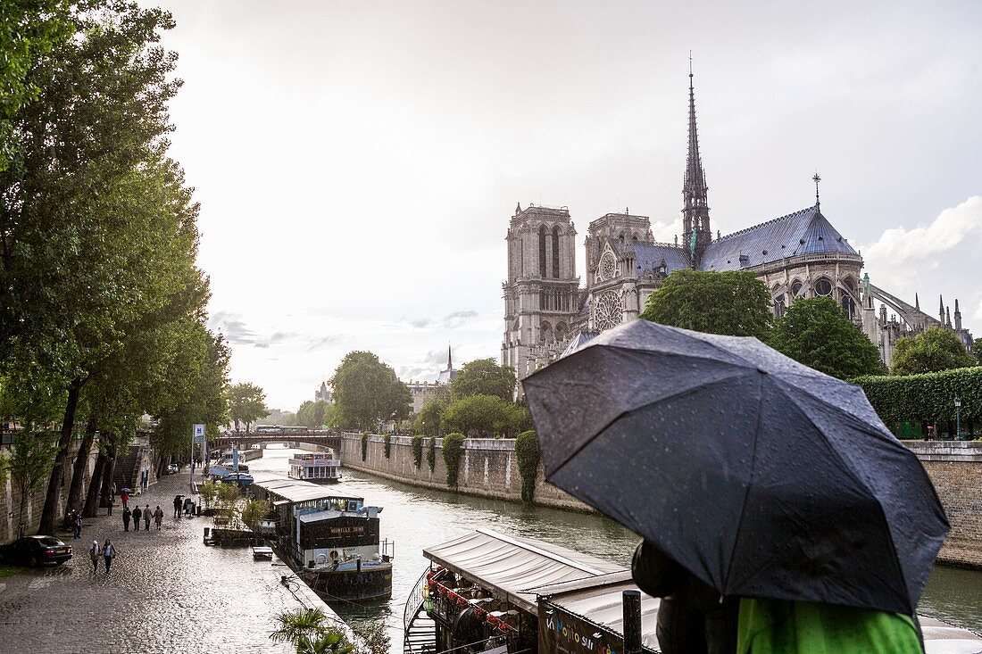 Frankreich, Paris, UNESCO Weltkulturerbe, Restaurantboot vor der Ile Saint Louis, Kathedrale Notre Dame im Regen