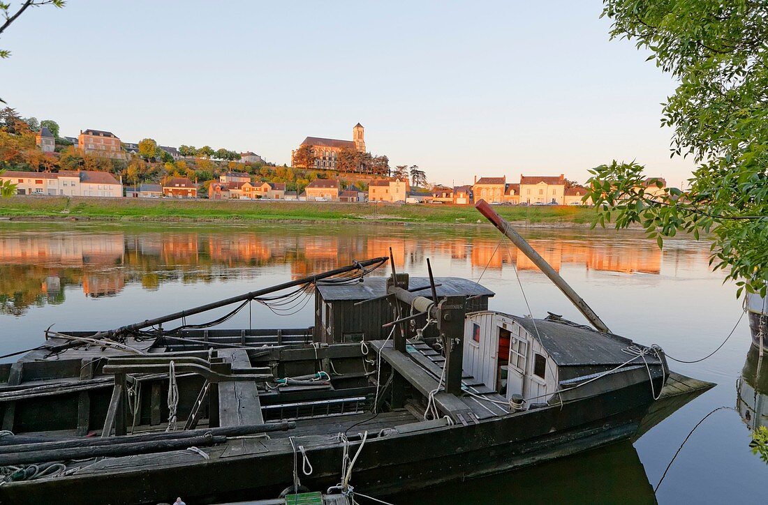 France, Maine et Loire, Montjean sur Loire