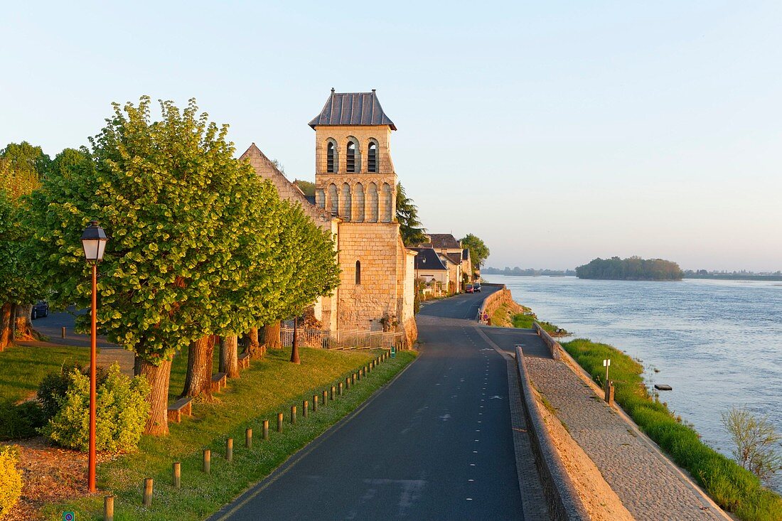 Frankreich, Maine et Loire, Loiretal UNESCO Weltkulturerbe, Kirche Saint-Genulf in Le Thoureil, regionaler Naturpark der Loire Anjou Touraine