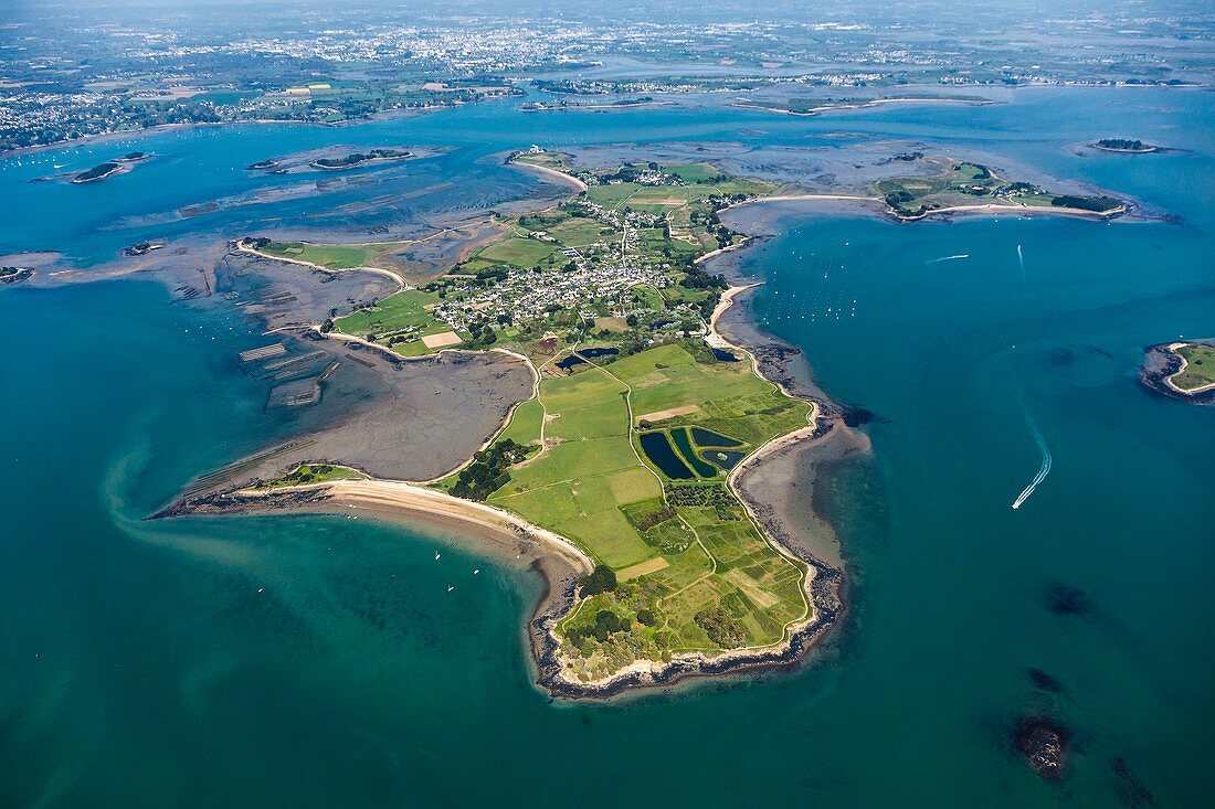 France, Morbihan, Golfe du Morbihan, Arz island (aerial view)