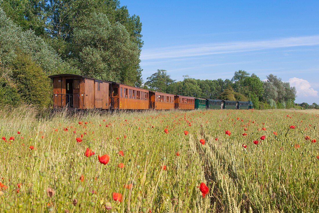 Frankreich, Somme, Baie de Somme, Eisenbahn von der Bucht der Somme, Touristenbahn