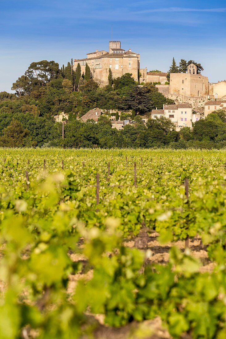 France, Vaucluse, Parc Naturel Regional du Luberon (Natural Regional Park of Luberon), Ansouis, labelled Les Plus Beaux Villages de France (The Most Beautiful Villages of France), certified the Most beautiful Villages of France