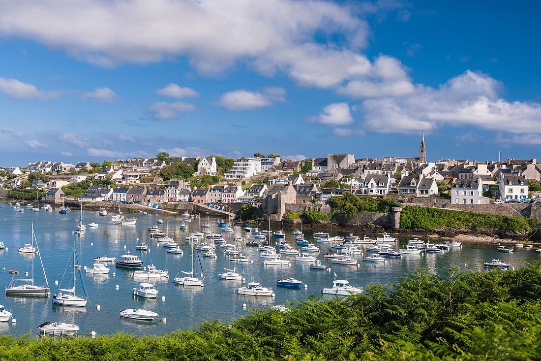 France, Finistere, Iroise Sea, Parc Naturel Regional d'Armorique (Armoric Regional Nature Park), Le Conquet