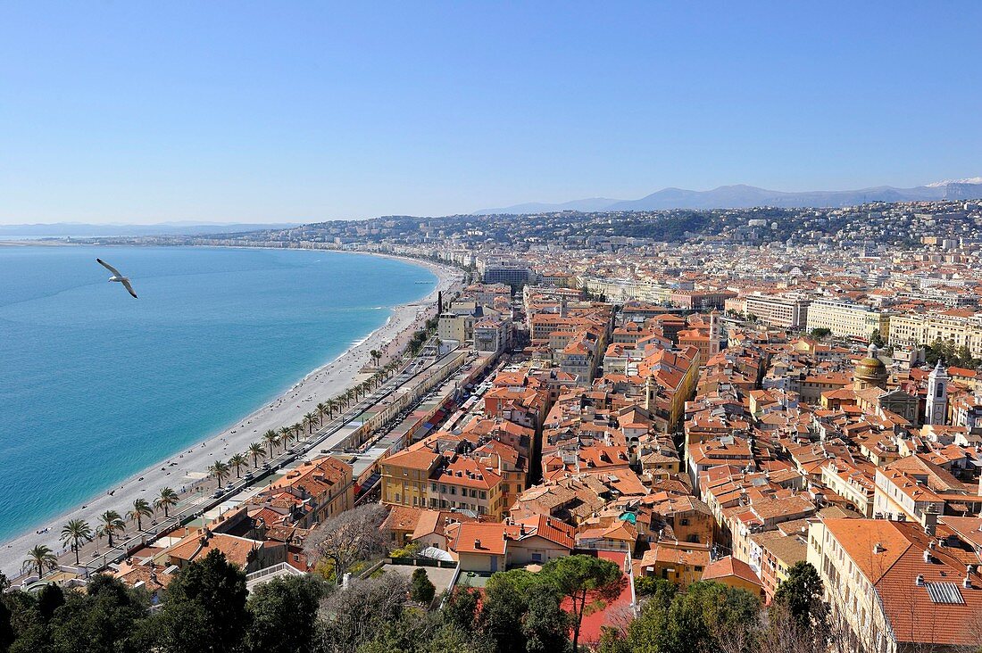 France, Alpes-Maritimes, Nice, the Promenade des Anglais and old town from the castle hill